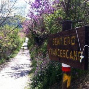 La Sosta B&B Stroncone Luaran gambar